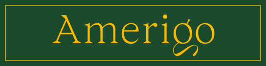 Amerigo logo